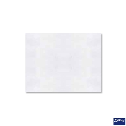 CARTA PERGAMINO 37X50 CF.10...