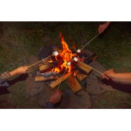 SPIEDINO LEGNO 25 CM CF.100 PZ