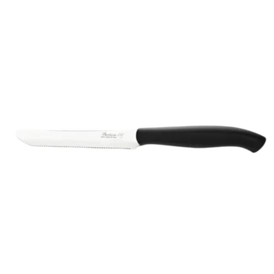 COLTELLO TAVOLA GENIUS LAMA INOX SEGHETT