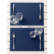 TOVAGLIETTA 30X50 COLOR BLU CF. 250 PZ