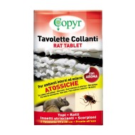 RAT TABLE 19X28 PZ.2